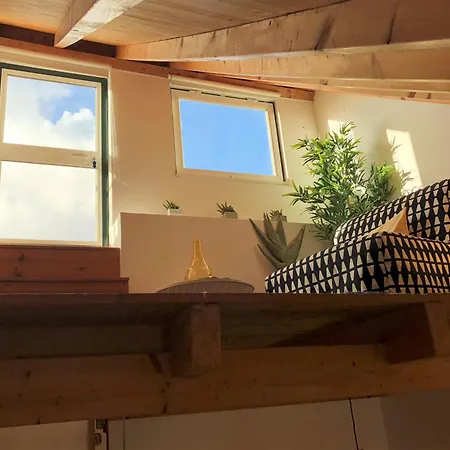 Sm3 Now With New Ac Rootop Terrace Bright And Cozy Pr Real Br Alto